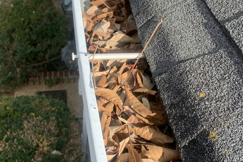 Gutter Cleaning Euclid