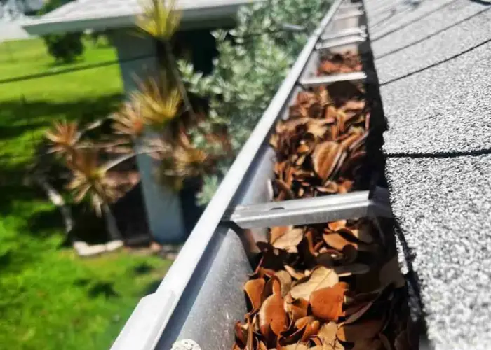 Gutter Cleaning Euclid home page