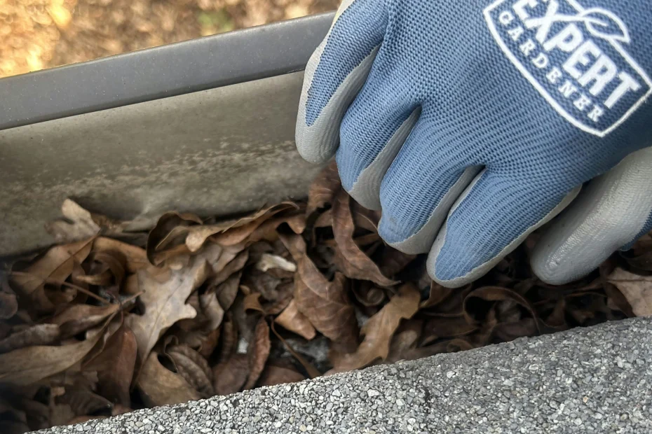 Euclid Gutter Cleaning